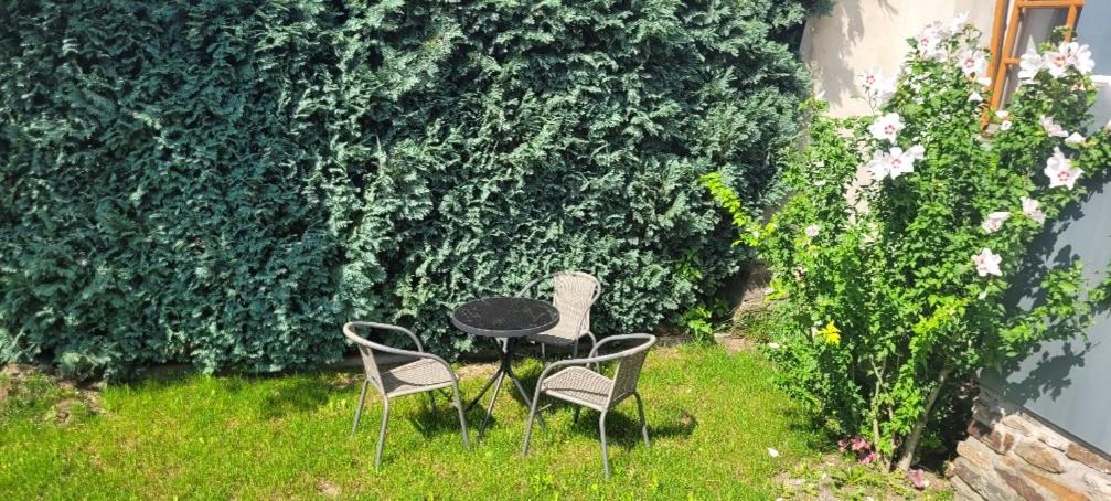 Ferienwohnung Eg Frauenmarkt 1 Schneeberg  Zewnętrze zdjęcie